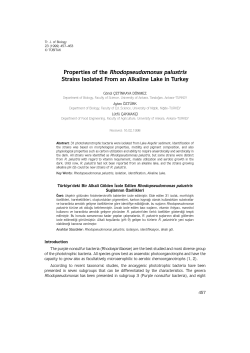 Properties of the Rhodopseudomonas palustris