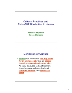 Definition of Culture