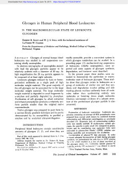 Glycogen in Human Peripheral Blood Leukocvtes