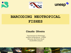 Piabina argentea
