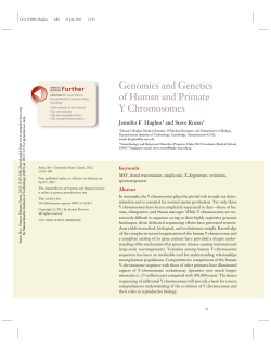 Genomics and Genetics of Human and Primate Y Chromosomes