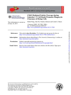 Clearance of Dying Cells Galectin