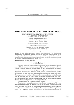 FLOW SIMULATION AT SHOCK WAVE TRIPLE POINT