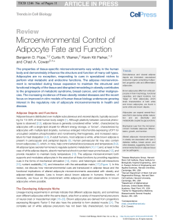 Microenvironmental Control of Adipocyte Fate and Function