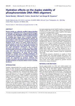 Hydration effects on the duplex stability of phosphoramidate DNA