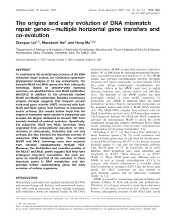 The origins and early evolution of DNA mismatch repair genes