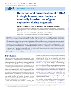 Detection and quantification of mRNA in single human polar bodies