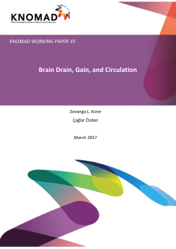 Brain Drain, Gain, and Circulation