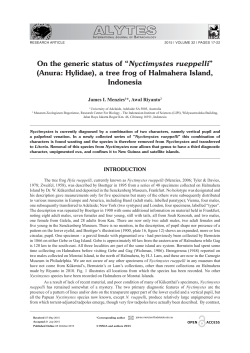 On the generic status of &ldquo;Nyctimystes rueppelli&rdquo; (Anura: Hylidae), a