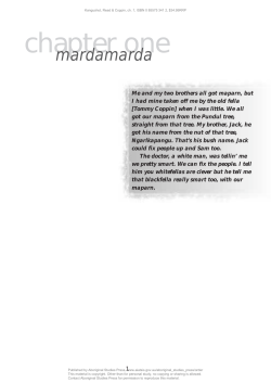 paper as  - The Little Red Yellow Black Website