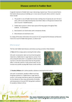 Disease control in Fodderbeet