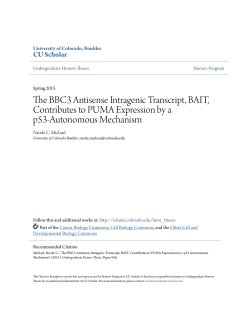 The BBC3 Antisense Intragenic Transcript, BAIT