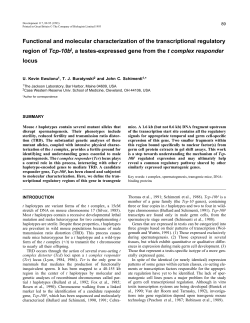 Functional and molecular characterization of the