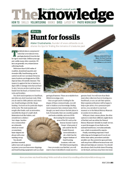 Hunt for fossils