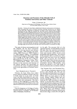 Structure and Function of the Chloride Cell of Fundulus heteroclitus