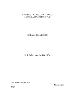 US Policy and the Gulf War