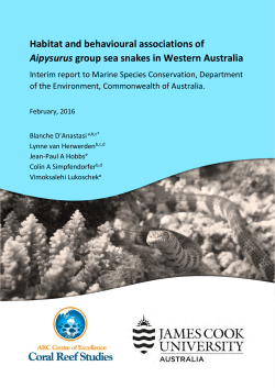 Habitat and behavioural associations of Aipysurus group sea