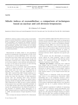 Mitotic indices of zooxanthellae: a comparison of techniques based