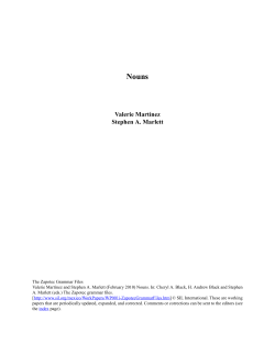 Nouns, this series - SIL International