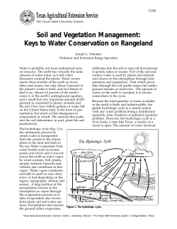 Soil and Vegetation Management: Keys to Water Conservation on