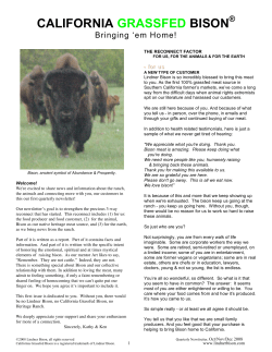 california grassfed bison