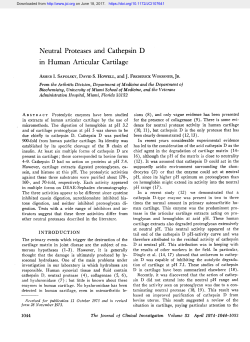 Neutral Proteases and Cathepsin D in Human Articular Cartilage