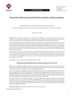 Prepucial urethrostomy performed using the