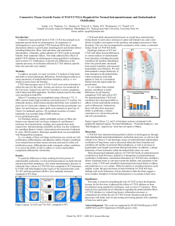 Connective Tissue Growth Factor (CTGF/CCN2) is Required for