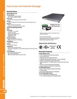 Rice Lake Summit 3000 Floor Scale Data Sheet PDF