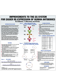 Easier Expression of Antibodies using GS