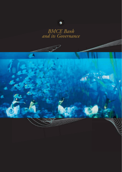 BMCE Bank and its Governance