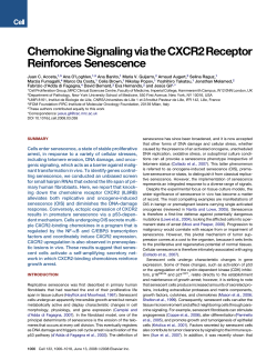ChemokineSignalingviatheCXCR2Receptor Reinforces Senescence
