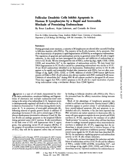 Follicular Dendritic Cells Inhibit Apoptosis in Human B Lymphocytes