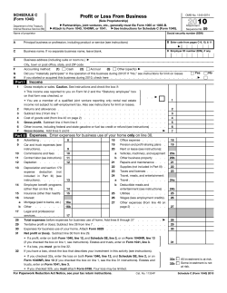 2010 Form 1040 (Schedule C)