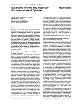Hypothesis Eukaryotic mRNPs May Represent Posttranscriptional