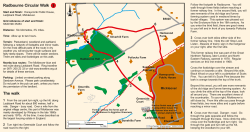 Radbourne Circular Walk The walk 2