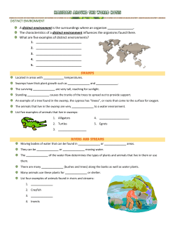 DISTINCT ENVIRONMENT A distinct environment is the