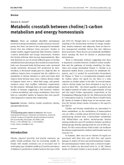 Metabolic crosstalk between choline/1