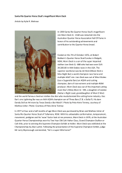 Morn Deck Q - 2160 - Australian Quarter Horse Association