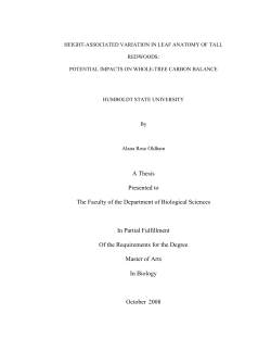A Thesis Presented to The Faculty of the Department of Biological