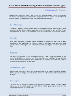 Facts About Plants Growing Under Different Colored Lights