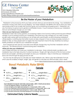 Basal Metabolic Rate (BMR) - GE Fitness Center