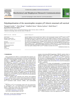 Polyubiquitination of the neurotrophin receptor p75 directs neuronal