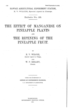 the effect of nianganese on pineapple plants the