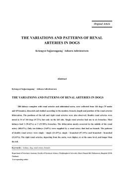 THE VARIATIONS AND PATTERNS OF RENAL ARTERIES IN DOGS