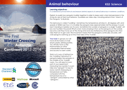Animal behaviour - The Coldest Journey