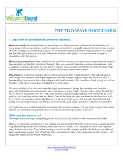 THE TWO WAYS DOGS LEARN