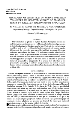 mechanism of inhibition of active potassium transport in isolated