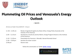 Presentation - Institute of the Americas