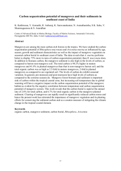 Carbon sequestration potential of mangroves and their sediments in